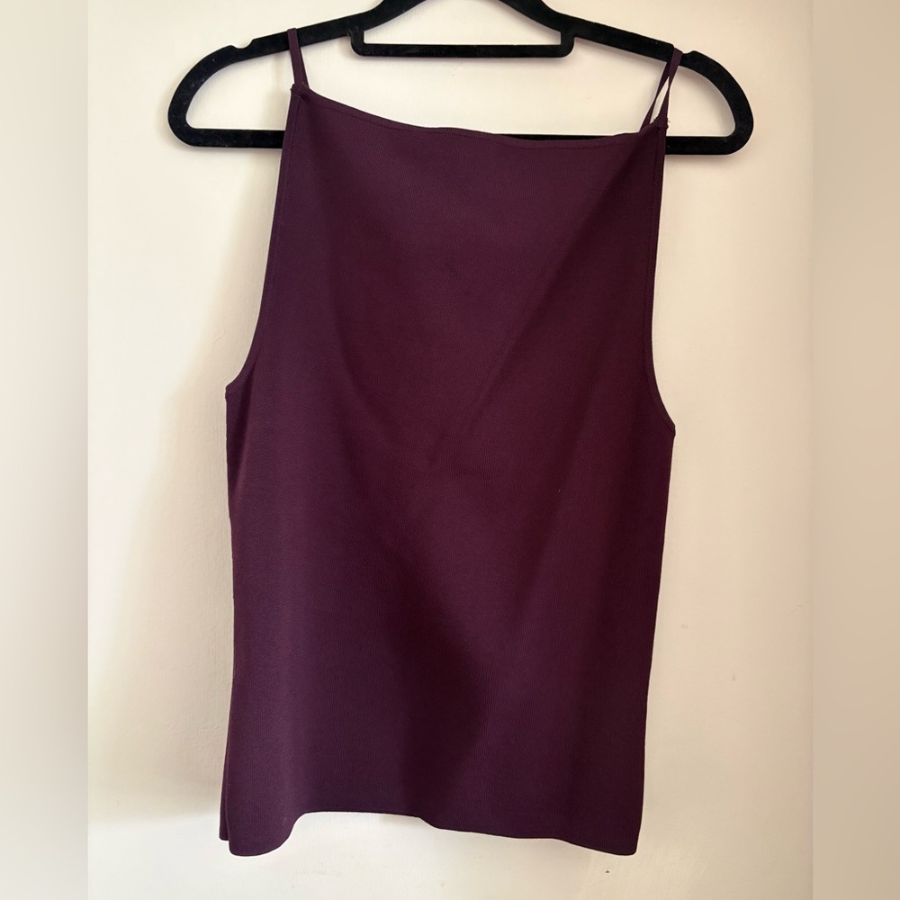 Aritzia Babaton Deep Purple Camisole